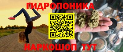сатива Бузулук