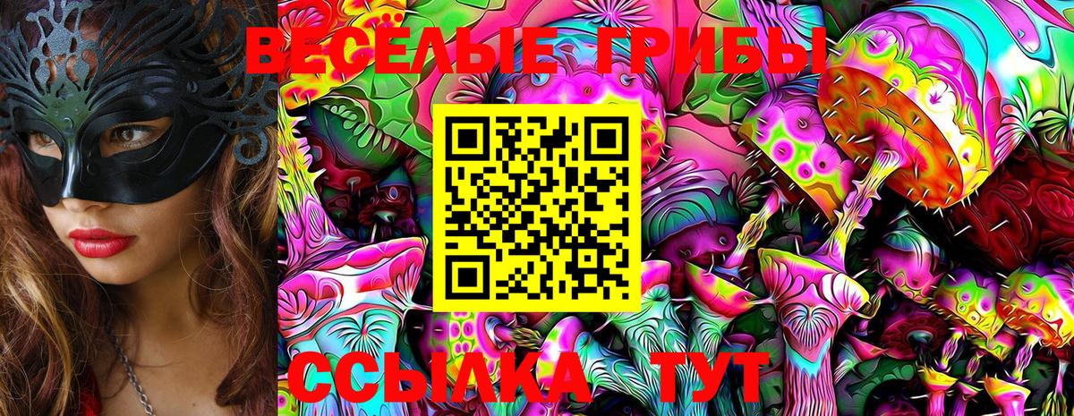 Псилоцибиновые грибы Psilocybine cubensis Янаул