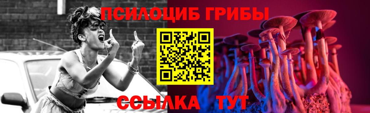 Галлюциногенные грибы Psilocybe  Вход с VPN  Янаул 